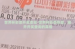 世界杯彩票开奖查询-世界杯彩票热潮，揭开开奖查询的真相