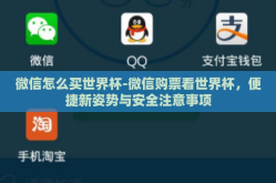 微信怎么买世界杯-微信购票看世界杯，便捷新姿势与安全注意事项