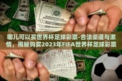 哪儿可以买世界杯足球彩票-合法渠道与激情，揭秘购买2023年FIFA世界杯足球彩票的正确途径