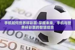 手机如何世界杯彩票-掌握未来，手机与世界杯彩票的智慧结合