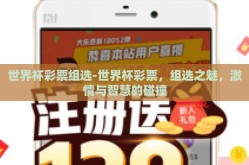 世界杯彩票组选-世界杯彩票，组选之魅，激情与智慧的碰撞