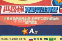 世界杯属于哪种彩票-世界杯彩票的趣味与博弈探索
