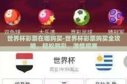 世界杯彩票在哪购买-世界杯彩票购买全攻略，轻松购彩，激情观赛