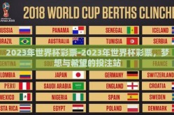 2023年世界杯彩票-2023年世界杯彩票，梦想与希望的投注站