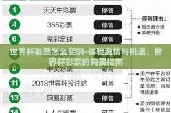 世界杯彩票怎么买啊-体验激情与机遇，世界杯彩票的购买指南