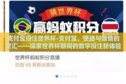 支付宝投注世界杯-支付宝，便捷与激情的交汇——探索世界杯期间的数字投注新体验