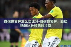 微信世界杯怎么买比分-微信世界杯，轻松玩转比分预购的指南