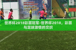 世界杯2018彩票冠军-世界杯2018，彩票与足球激情的交织