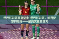 世界杯彩票最高奖金-世界杯彩票，追寻梦想的巅峰——最高奖金的魅力