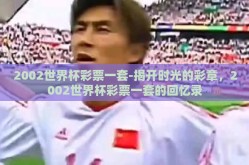 2002世界杯彩票一套-揭开时光的彩章，2002世界杯彩票一套的回忆录