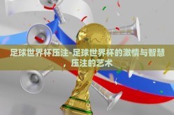 足球世界杯压注-足球世界杯的激情与智慧，压注的艺术