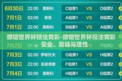 微信世界杯投注竞彩-微信世界杯投注竞彩，安全、趣味与理性