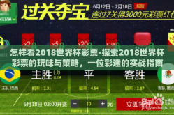 怎样看2018世界杯彩票-探索2018世界杯彩票的玩味与策略，一位彩迷的实战指南