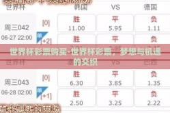世界杯彩票购买-世界杯彩票，梦想与机遇的交织