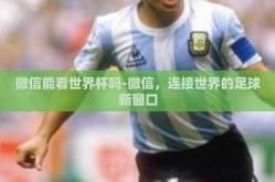 微信能看世界杯吗-微信，连接世界的足球新窗口