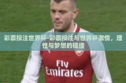 彩票投注世界杯-彩票投注与世界杯激情，理性与梦想的碰撞
