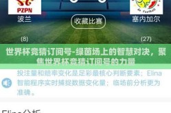世界杯竞猜订阅号-绿茵场上的智慧对决，聚焦世界杯竞猜订阅号的力量