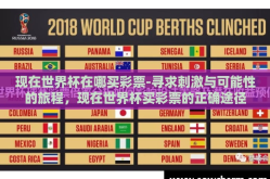 现在世界杯在哪买彩票-寻求刺激与可能性的旅程，现在世界杯买彩票的正确途径