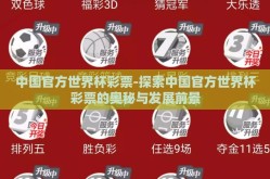 中国官方世界杯彩票-探索中国官方世界杯彩票的奥秘与发展前景