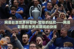 网易彩票世界杯暂停-暂停的狂欢——网易彩票在世界杯期间的抉择