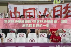世界杯决赛彩票图-世界杯决赛彩票，激情与机遇并存的一刻