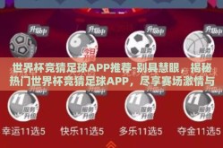 世界杯竞猜足球APP推荐-别具慧眼，揭秘热门世界杯竞猜足球APP，尽享赛场激情与智慧碰撞