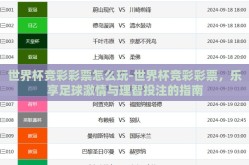 世界杯竞彩彩票怎么玩-世界杯竞彩彩票，乐享足球激情与理智投注的指南