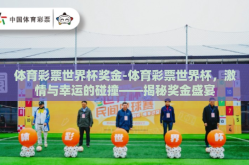 体育彩票世界杯奖金-体育彩票世界杯，激情与幸运的碰撞——揭秘奖金盛宴