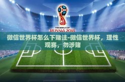 微信世界杯怎么下赌注-微信世界杯，理性观赛，勿涉赌