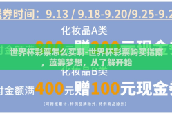 世界杯彩票怎么买啊-世界杯彩票购买指南，蓝筹梦想，从了解开始