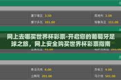 网上去哪买世界杯彩票-开启您的葡萄牙足球之旅，网上安全购买世界杯彩票指南