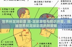 世界杯足球彩票 胆-足球激情与胆识并蓄，揭秘世界杯足球彩票的胆策略
