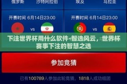 下注世界杯用什么软件-智选风云，世界杯赛事下注的智慧之选