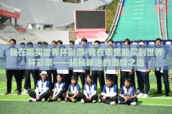 我在哪买世界杯彩票-我在哪里能买到世界杯彩票——揭秘球迷的激情之选