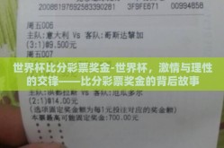 世界杯比分彩票奖金-世界杯，激情与理性的交锋——比分彩票奖金的背后故事