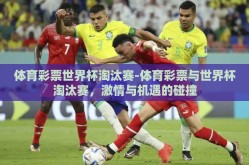 体育彩票世界杯淘汰赛-体育彩票与世界杯淘汰赛，激情与机遇的碰撞