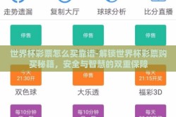 世界杯彩票怎么买靠谱-解锁世界杯彩票购买秘籍，安全与智慧的双重保障