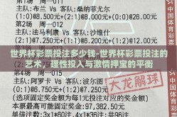 世界杯彩票投注多少钱-世界杯彩票投注的艺术，理性投入与激情押宝的平衡