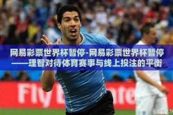 网络彩票世界杯-深度剖析网络彩票世界杯，一个交织娱乐与风险的数字平台