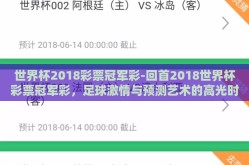 世界杯2018彩票冠军彩-回首2018世界杯彩票冠军彩，足球激情与预测艺术的高光时刻