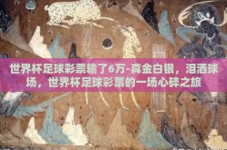世界杯足球彩票输了6万-真金白银，泪洒球场，世界杯足球彩票的一场心碎之旅