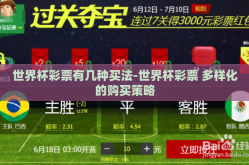 世界杯彩票有几种买法-世界杯彩票 多样化的购买策略