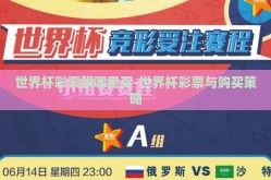 世界杯彩票跟哪里买-世界杯彩票与购买策略