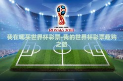 我在哪买世界杯彩票-我的世界杯彩票趣购之旅