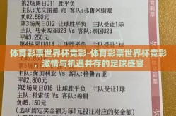 体育彩票世界杯竞彩-体育彩票世界杯竞彩，激情与机遇并存的足球盛宴