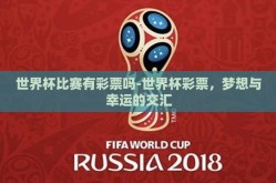 世界杯比赛有彩票吗-世界杯彩票，梦想与幸运的交汇