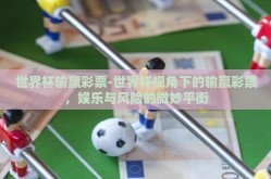 世界杯输赢彩票-世界杯视角下的输赢彩票，娱乐与风险的微妙平衡