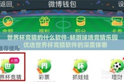 世界杯竞猜的什么软件-畅游球场竞猜乐园，优选世界杯竞猜软件的深度体察