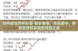 如何看世界杯彩票-精彩赛事，乐在票中，解锁世界杯彩票的观赏之道