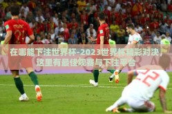 在哪能下注世界杯-2023世界杯精彩对决，这里有最佳观赛与下注平台